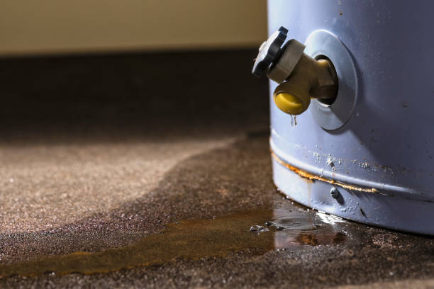 Best Local water damage restoration  in Severna Park, MD