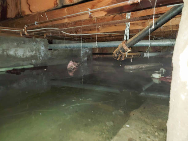 Best Flooded house restoration  in Severna Park, MD
