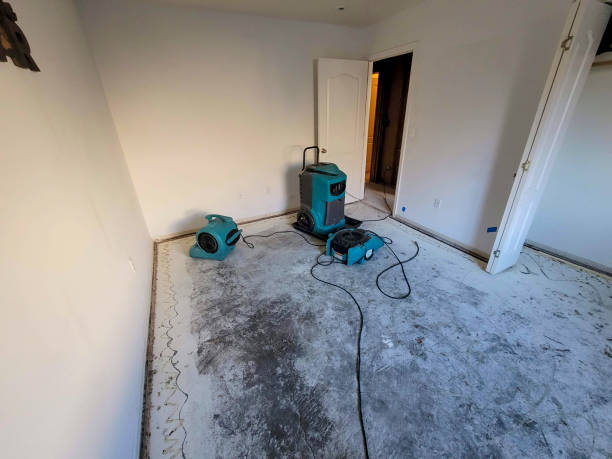Best 24/7 water damage repair  in Severna Park, MD