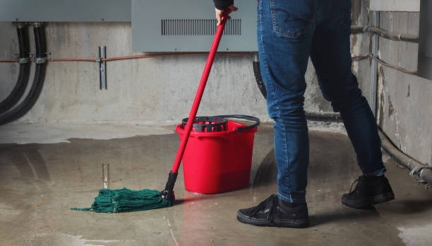 Best Water damage contractors near me  in Severna Park, MD