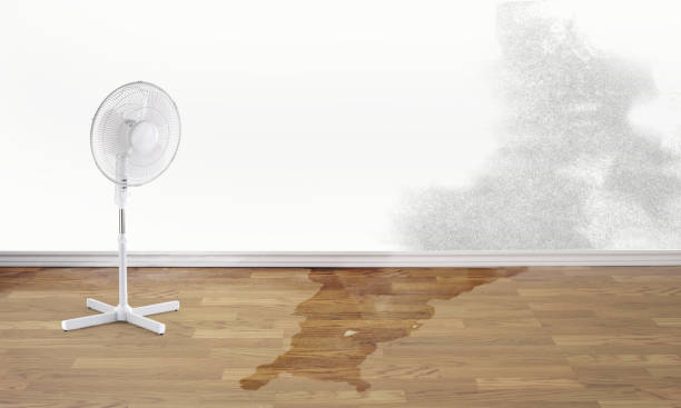 Best Basement water damage restoration  in Severna Park, MD