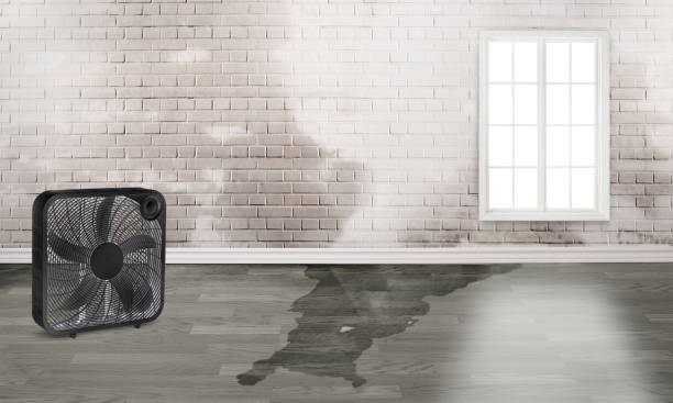 Best Residential water damage restoration  in Severna Park, MD