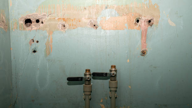 Best Water damage restoration services  in Severna Park, MD
