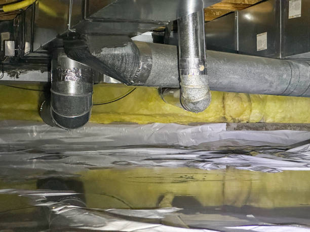 Best Flooded house restoration  in Severna Park, MD